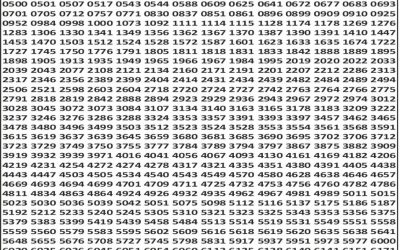 Punjab State Dear 50 Bronco Lottery 16.12.25 6pm Result