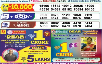 Dear Vision Saturday Weekly Lottery 20.12.25 1pm Result