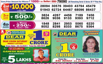 Dear Lucky Saturday Weekly Lottery 20.12.25 8pm Result