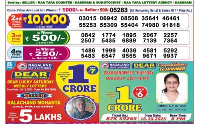 Dear Magic Sunday Weekly Lottery 21.12.25 8pm Result