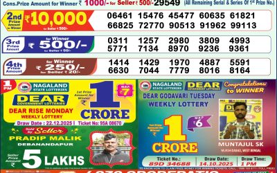 Dear Shine Tuesday Weekly Lottery 23.12.25 1pm Result