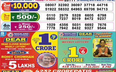 Dear Destiny Tuesday Weekly Lottery 23.12.25 8pm Result