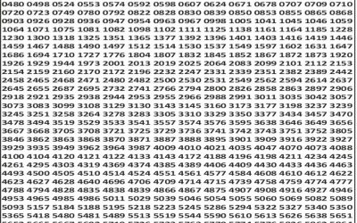 Punjab State Dear 50 chief Thursday Weekly Lottery 25.12.25 6pm Result