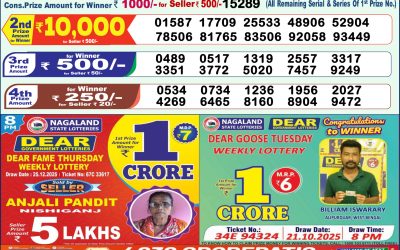 Dear Victory Friday Weekly Lottery 26.12.25 1pm Result