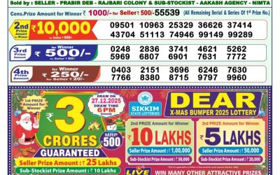 Dear Vision Saturday Weekly Lottery 27.12.25 1pm Result