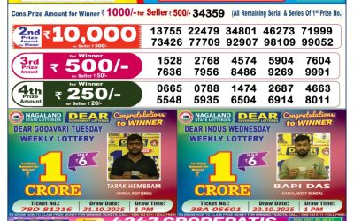 Dear Regal Wednesday Weekly Lottery 31.12.25 6pm Result