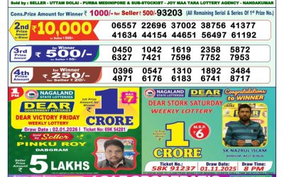 Dear Vision Saturday Weekly Lottery 03.01.26 1pm Result