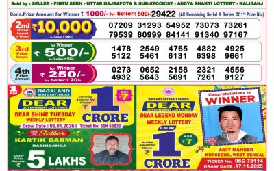 Dear Destiny Tuesday Weekly Lottery 06.01.26 8pm Result
