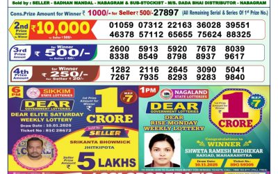 Dear Wish Sunday Weekly Lottery 11.01.26 1pm Result