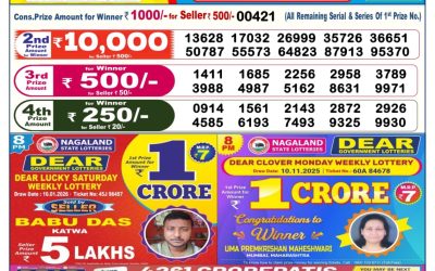 Dear Empire Sunday Weekly Lottery 11.01.26 6pm Result