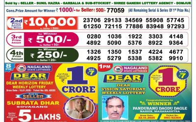 Dear Elite Saturday Weekly Lottery 17.01.26 6pm Result