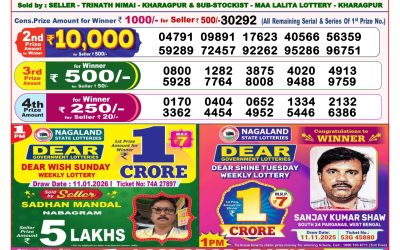 Dear Magic Sunday Weekly Lottery 11.01.26 8pm Result