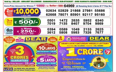 Dear Horizon Friday Weekly Lottery 06.02.26 8pm Result