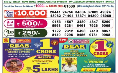 Dear Elite Saturday Weekly Lottery 07.02.26 6pm Result