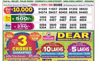 Dear Lucky Saturday Weekly Lottery 14.02.26 8pm Result