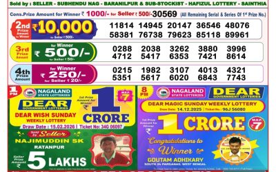Dear Magic Sunday Weekly Lottery 15.02.26 8pm Result