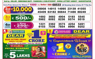 Dear Horizon Friday Weekly Lottery 27.02.26 8pm Result