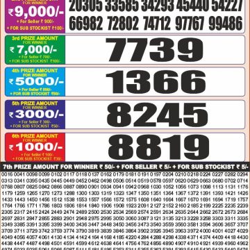 Punjab State Dear 20 Monthly Lottery Result Today 28.04.26 (7PM)