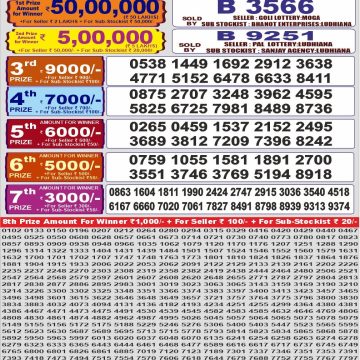 Punjab State 1000 Quarterly Lottery Result 11.07.26